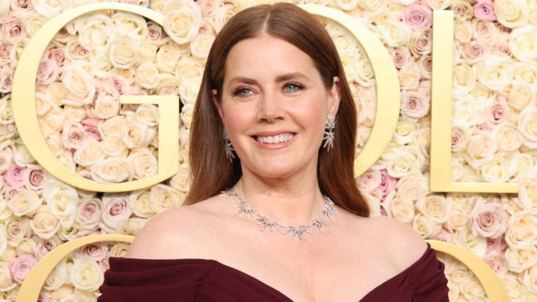 Amy Adams Looks Completely Different With Her Natural Hair Color (And It's Not Red)